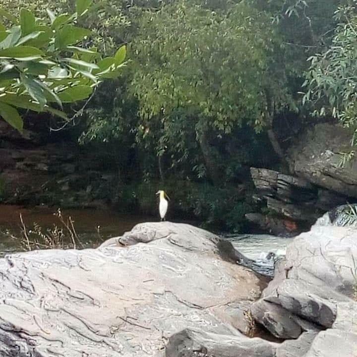 Pirenópolis Pouso Do Rio酒店 外观 照片